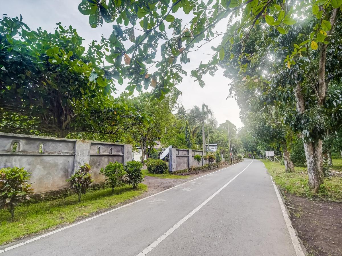 Oyo 90988 Tangkoko Jungle Homestay Rinondoran Dış mekan fotoğraf