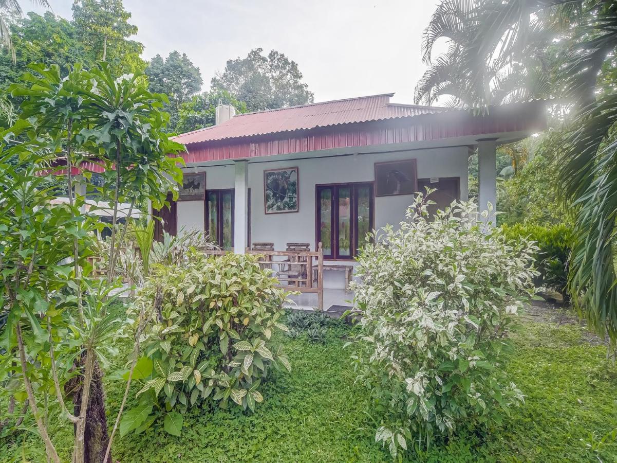 Oyo 90988 Tangkoko Jungle Homestay Rinondoran Dış mekan fotoğraf