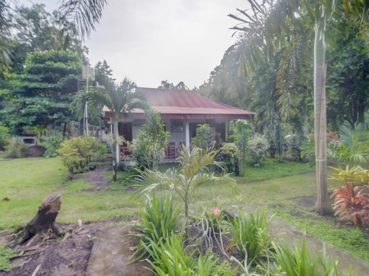 Oyo 90988 Tangkoko Jungle Homestay Rinondoran Dış mekan fotoğraf